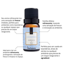 Essência Aromatizadora 10ml Via Aroma para Difusor Elétrico – Perfume Sofisticado para Ambientes