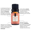 Essência Aromatizadora 10ml Via Aroma para Difusor Elétrico – Perfume Sofisticado para Ambientes
