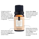 Essência Aromatizadora 10ml Via Aroma para Difusor Elétrico – Perfume Sofisticado para Ambientes