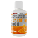 L-Carnitina 2000mg + CoQ10 Líquida Fisionutri 480ml – Queimador Termogênico de Alta Absorção