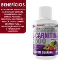 L-Carnitina 2000mg + CoQ10 Fisionutri 480ml Queimador Termogênico Líquido